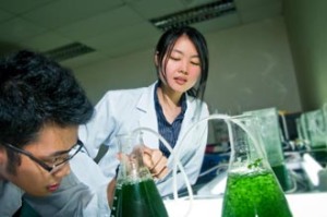 Curtin University Sarawak is equipped with cutting edge engineering and science labs