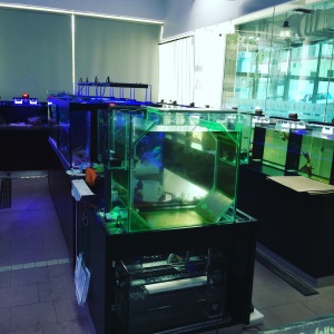 Aquatic Science Lab at UCSI University